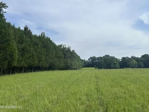 001 Green Acres Dr, Canton, MS 39046 photo 38