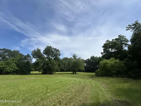 001 Green Acres Dr, Canton, MS 39046 photo 48