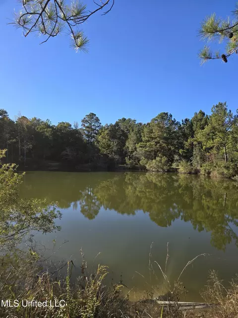 2243 Central Firetower Rd, Lucedale, MS 39452 photo 3