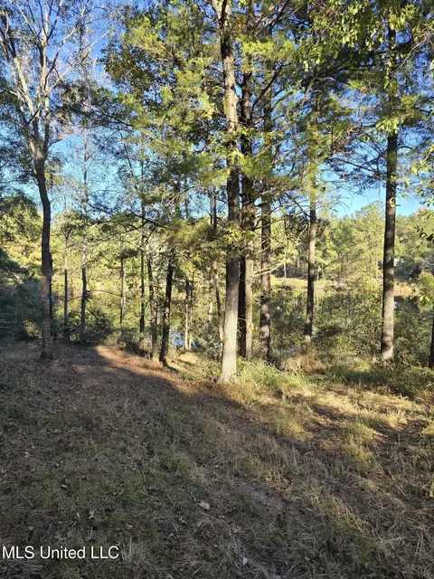 2243 Central Firetower Rd, Lucedale, MS 39452 photo 5