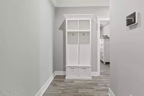 Entry Way - 806 Long Leaf Cir, Brandon, MS 39042 photo 3 of 4