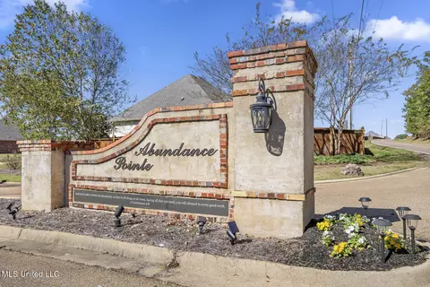 Other - 193 Grace Dr, Flowood, MS 39232 photo 8 of 8