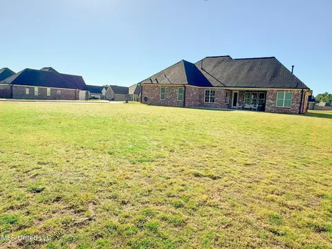 Exterior - 5146 Watson View Dr, Nesbit, MS 38651 photo 3 of 9