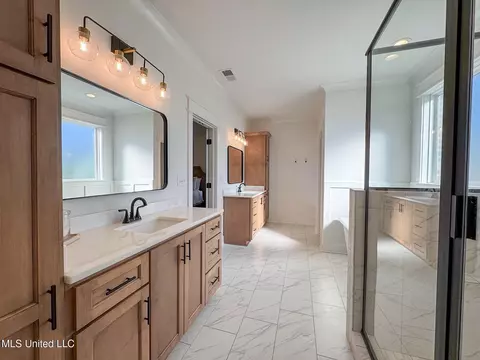 Bath - 5146 Watson View Dr, Nesbit, MS 38651 photo 3 of 4