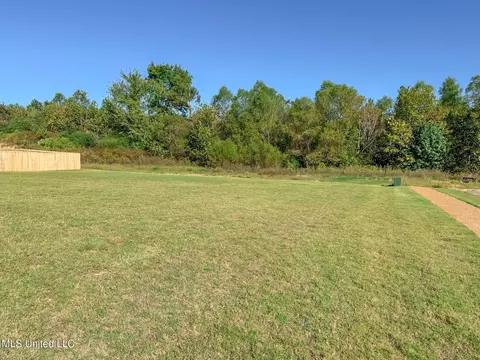 Exterior - 5146 Watson View Dr, Nesbit, MS 38651 photo 9 of 9
