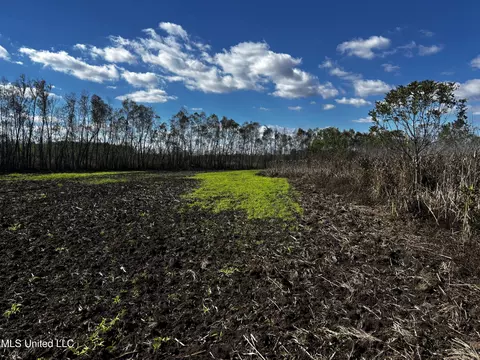 Walnut Lake Road, Dundee, MS 38626 photo 15
