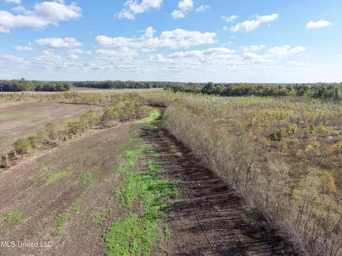 Walnut Lake Road, Dundee, MS 38626 photo 4