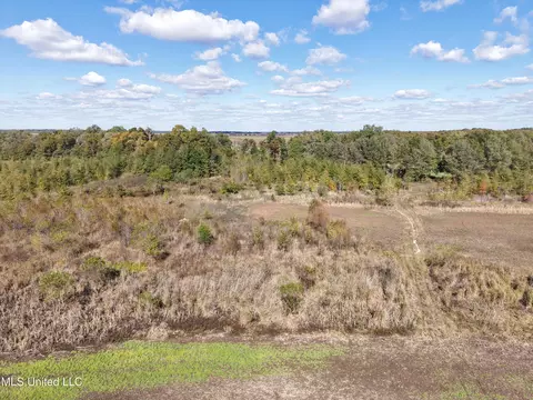 Walnut Lake Road, Dundee, MS 38626 photo 2