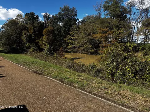 Walnut Lake Road, Dundee, MS 38626 photo 18