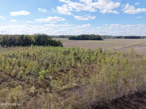 Walnut Lake Road, Dundee, MS 38626 photo 7
