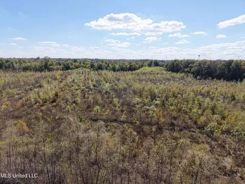 Walnut Lake Road, Dundee, MS 38626 photo 6