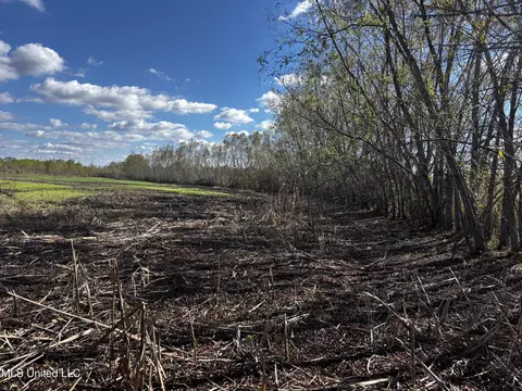Walnut Lake Road, Dundee, MS 38626 photo 12