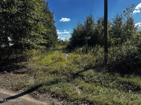 Walnut Lake Road, Dundee, MS 38626 photo 9