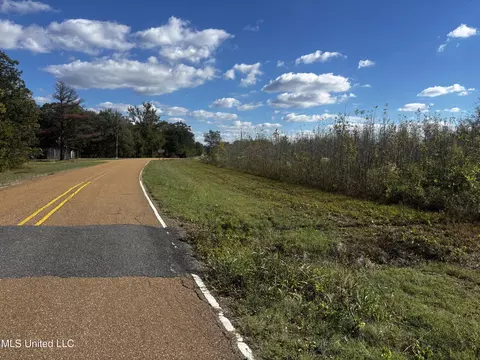 Walnut Lake Road, Dundee, MS 38626 photo 17