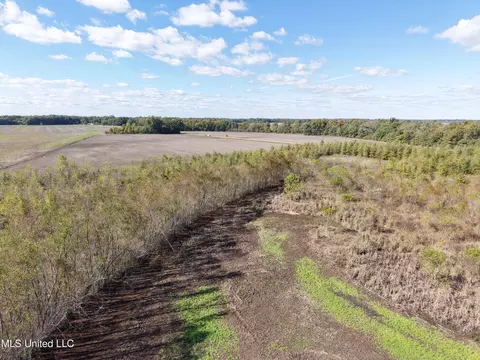 Walnut Lake Road, Dundee, MS 38626 photo 5