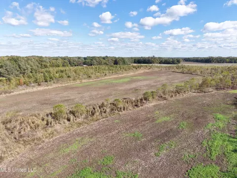 Walnut Lake Road, Dundee, MS 38626 photo 3
