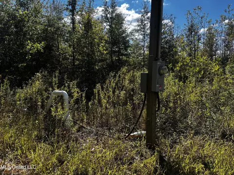 Walnut Lake Road, Dundee, MS 38626 photo 10