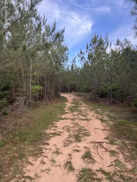 Co Rd 230, Shubuta, MS 39360