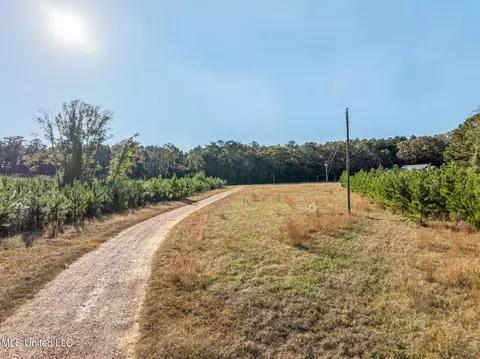 Other - 2027 Chapel Dr, Summit, MS 39666 photo 11 of 12