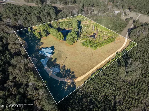View/Area - 2027 Chapel Dr, Summit, MS 39666 photo 3 of 4