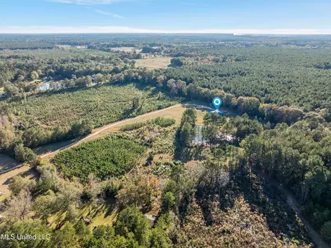 View/Area - 2027 Chapel Dr, Summit, MS 39666 photo 4 of 4