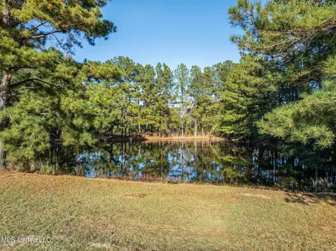 View/Area - 2027 Chapel Dr, Summit, MS 39666 photo 1 of 4