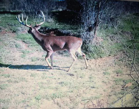 001 Farr Rd, Bolton, MS 39041