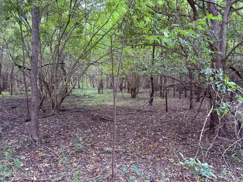 Bourke Road, Natchez, MS 39120 photo 8