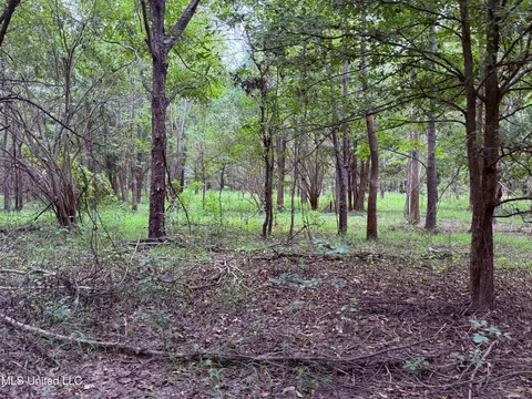 Bourke Road, Natchez, MS 39120 photo 11