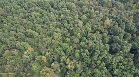 Bourke Road, Natchez, MS 39120 photo 20