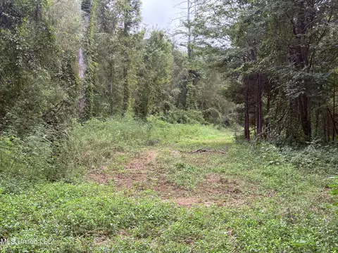Bourke Road, Natchez, MS 39120 photo 2