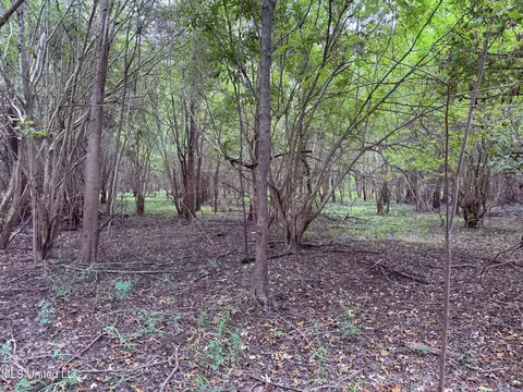 Bourke Road, Natchez, MS 39120 photo 7