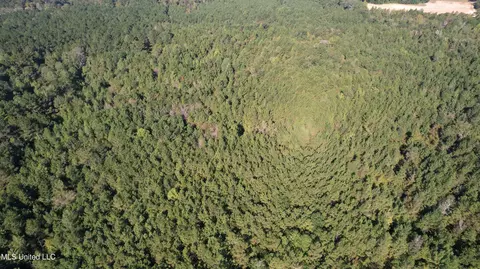 Bourke Road, Natchez, MS 39120 photo 13