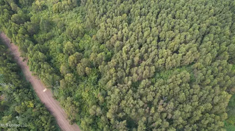 Bourke Road, Natchez, MS 39120 photo 17
