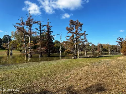 View/Area - 118 N Cassidy St, Sumner, MS 38957 photo 3 of 3