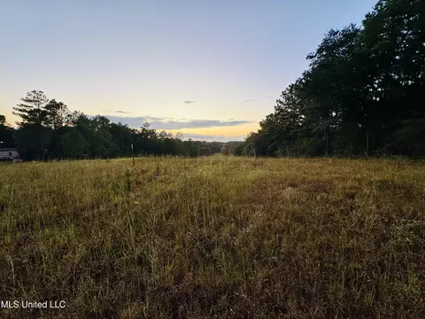 Cooks Corner Road, Lucedale, MS 39452 photo 2