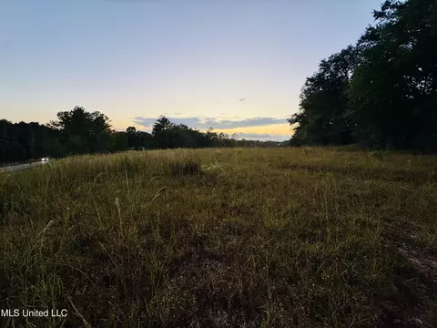 Cooks Corner Road, Lucedale, MS 39452 photo 3