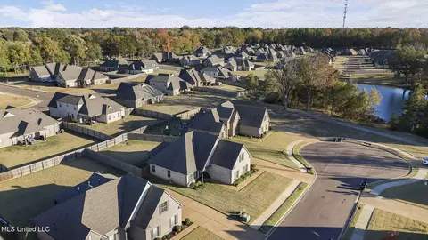 1094 Peggy Cv, Hernando, MS 38632 photo 28