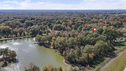 View/Area - 540 Douglas Rd, Hernando, MS 38632 photo 3 of 3