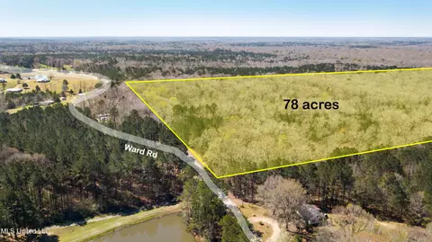 481 Ward Rd, Florence, MS 39073 photo 13