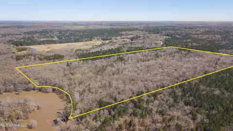481 Ward Rd, Florence, MS 39073 photo 18