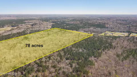 481 Ward Rd, Florence, MS 39073 photo 14