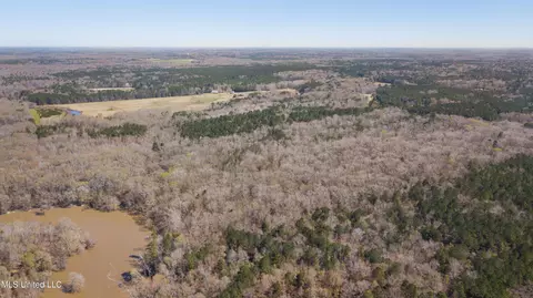 481 Ward Rd, Florence, MS 39073 photo 5