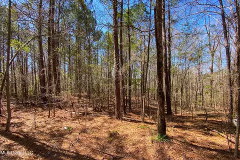 481 Ward Rd, Florence, MS 39073 photo 17