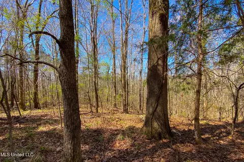 481 Ward Rd, Florence, MS 39073