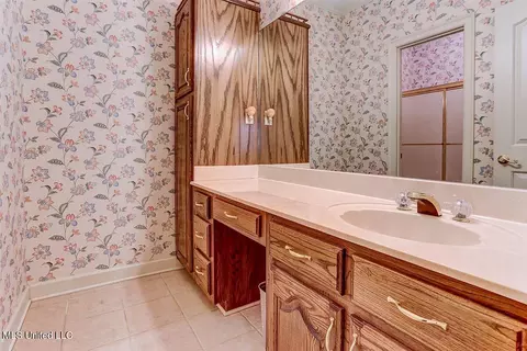 Bath - 8500 E Cedar Lake Dr, Walls, MS 38680 photo 6 of 8