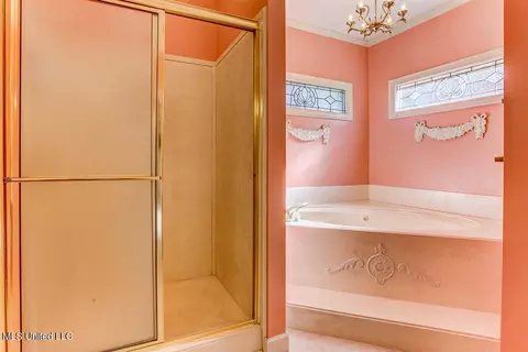 Bath - 8500 E Cedar Lake Dr, Walls, MS 38680 photo 2 of 8