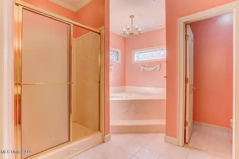 Bath - 8500 E Cedar Lake Dr, Walls, MS 38680 photo 1 of 8
