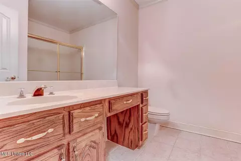 Bath - 8500 E Cedar Lake Dr, Walls, MS 38680 photo 7 of 8