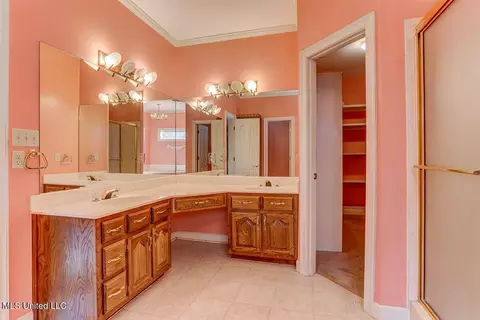 Bath - 8500 E Cedar Lake Dr, Walls, MS 38680 photo 3 of 8
